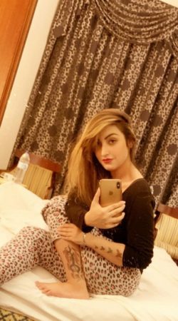 Harley Rogue Adventure Awaits with Your Perfect Escort Experience