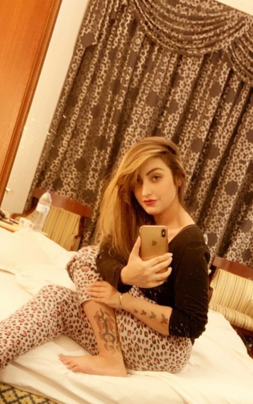 Harley Rogue Adventure Awaits with Your Perfect Escort Experience